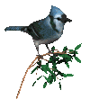 ถ่านหิน ภาพเคลื่อนไหว-gif